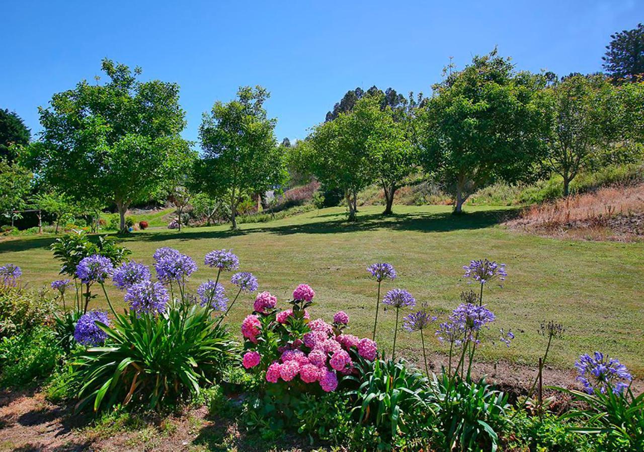 Pension Casa Elena Foro Bagian luar foto