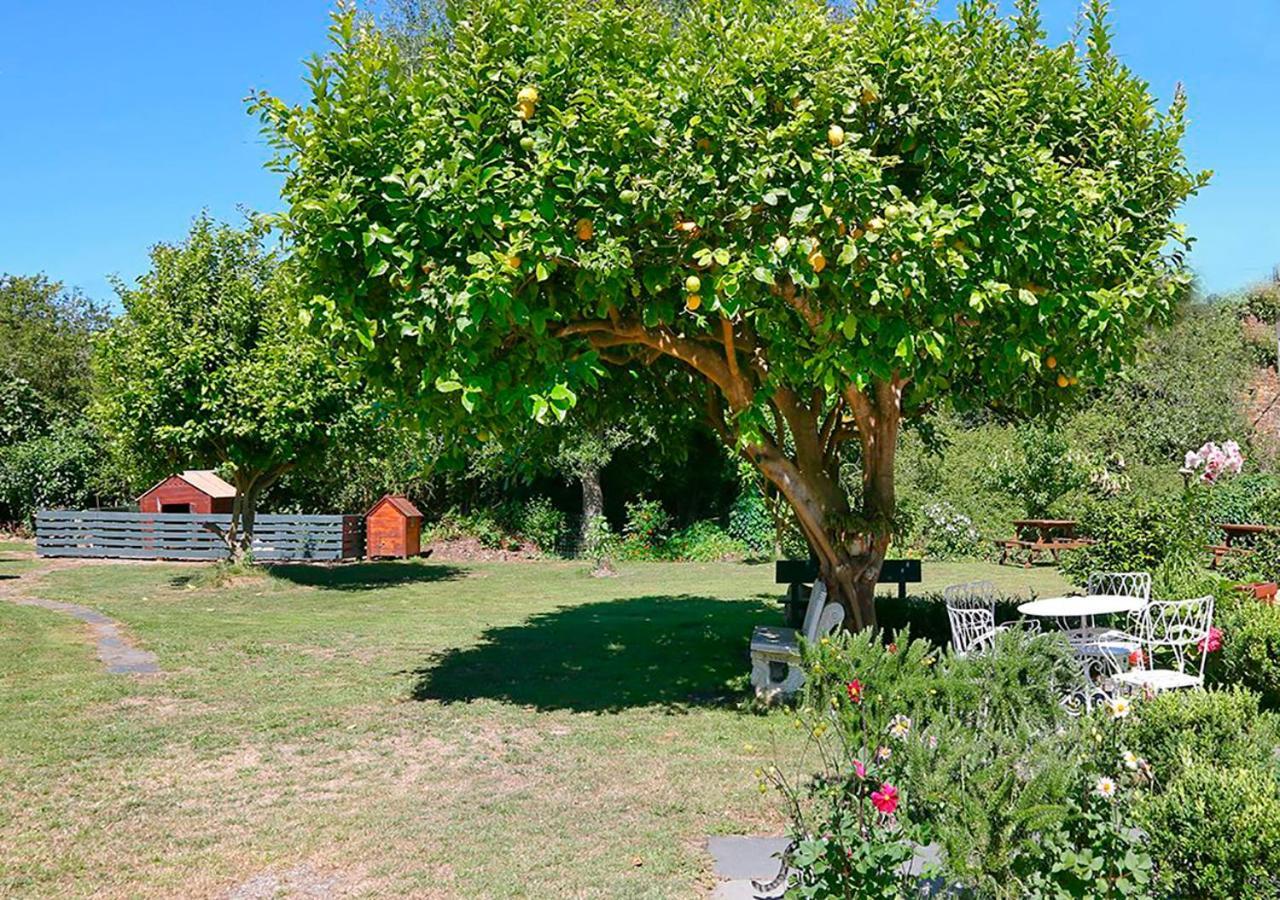 Pension Casa Elena Foro Bagian luar foto