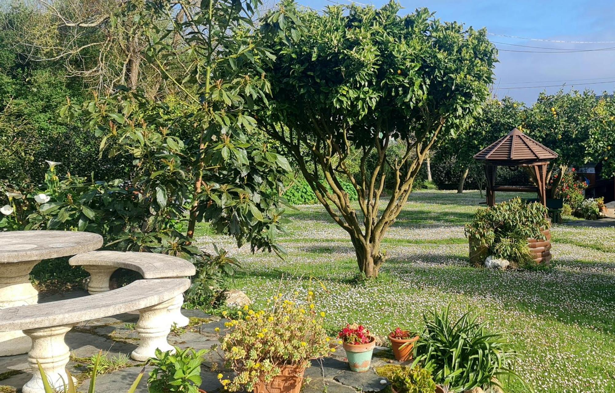 Pension Casa Elena Foro Bagian luar foto